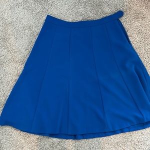 The limited size small blue skirt